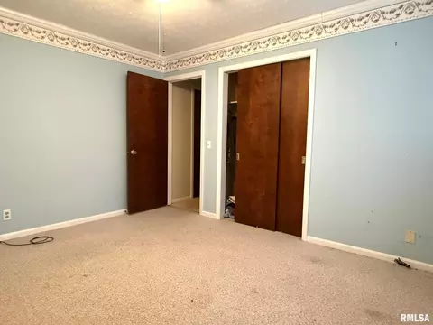 18 Chick St, Metropolis, IL 62960 photo 34