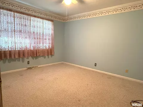 18 Chick St, Metropolis, IL 62960 photo 35