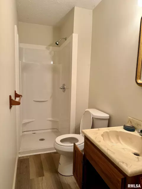 18 Chick St, Metropolis, IL 62960 photo 27