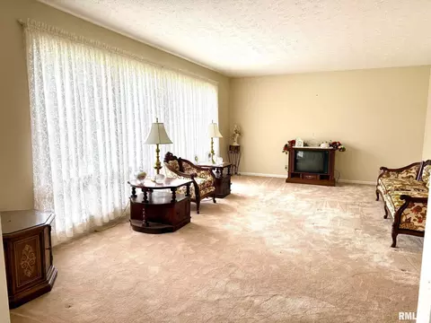 18 Chick St, Metropolis, IL 62960 photo 4
