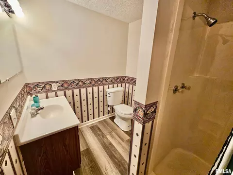 18 Chick St, Metropolis, IL 62960 photo 19