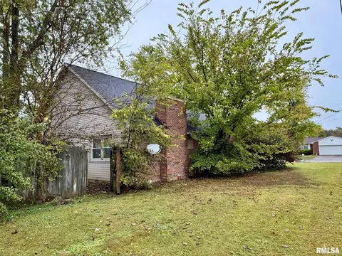 18 Chick St, Metropolis, IL 62960 photo 41