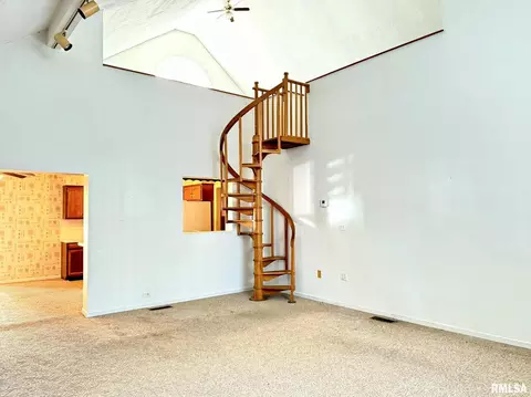 18 Chick St, Metropolis, IL 62960 photo 13