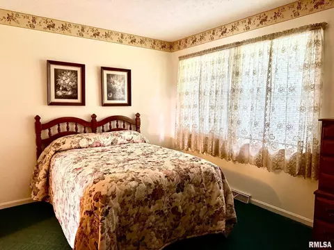 18 Chick St, Metropolis, IL 62960 photo 31