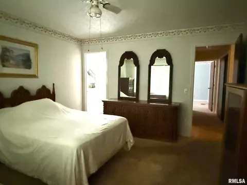 18 Chick St, Metropolis, IL 62960 photo 28