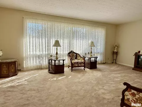 18 Chick St, Metropolis, IL 62960 photo 5
