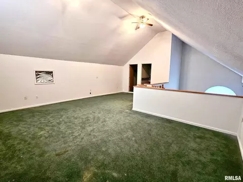 18 Chick St, Metropolis, IL 62960 photo 18