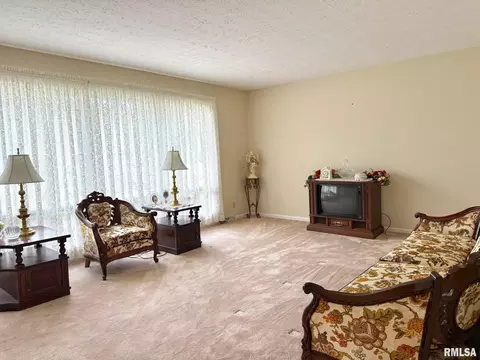 18 Chick St, Metropolis, IL 62960 photo 6