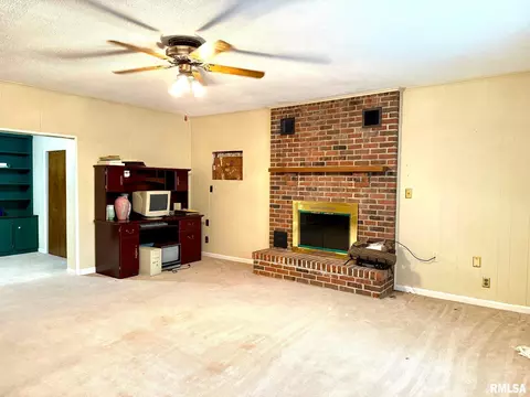 18 Chick St, Metropolis, IL 62960 photo 24