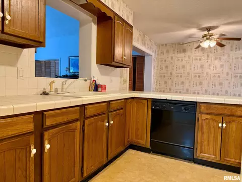 18 Chick St, Metropolis, IL 62960 photo 8