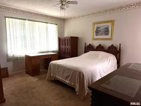 18 Chick St, Metropolis, IL 62960 photo 30