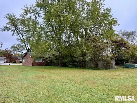 18 Chick St, Metropolis, IL 62960 photo 43