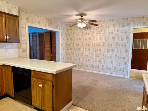 18 Chick St, Metropolis, IL 62960 photo 10