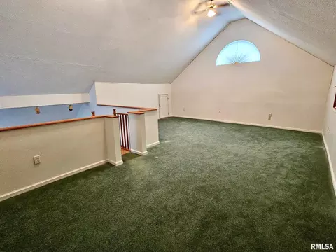 18 Chick St, Metropolis, IL 62960 photo 17