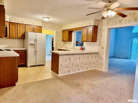 18 Chick St, Metropolis, IL 62960 photo 11