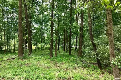 tbd Eastland Rd, Marion, IL 62959