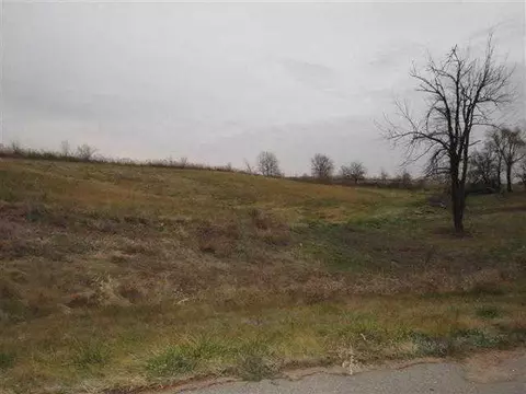 8 Whispering Pines Lane, Congerville, IL 61729 photo 5