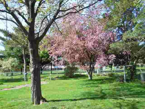 880 Sunset Rd, Morton, IL 61550 photo 14