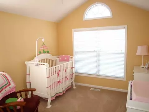 11706 Ballymore, Dunlap, IL 61525 photo 12