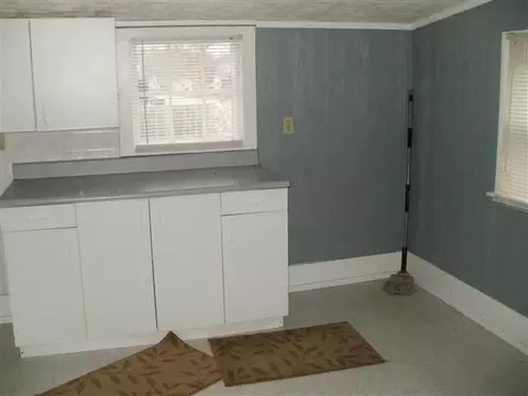847 E Ash, Canton, IL 61520 photo 3
