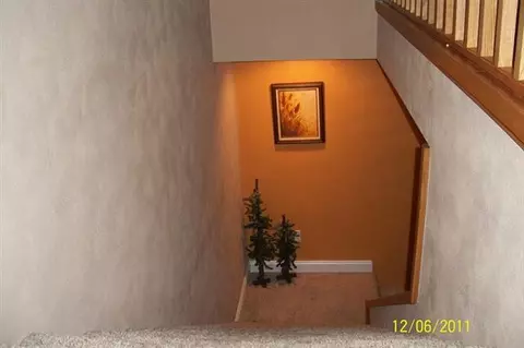 4407 S Lake Camelot Dr, Mapleton, IL 61547 photo 11