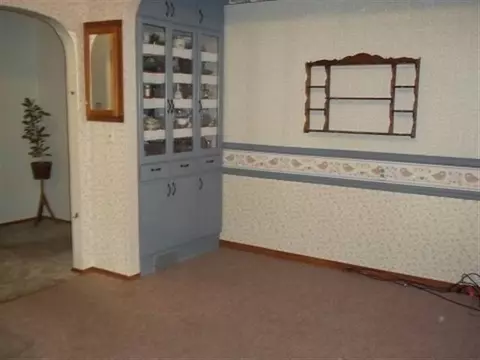 541 Elm, Canton, IL 61520 photo 10