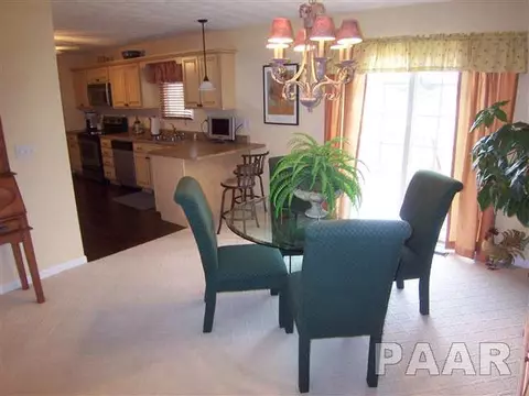 10338 W Guinivere Dr, Mapleton, IL 61547 photo 7