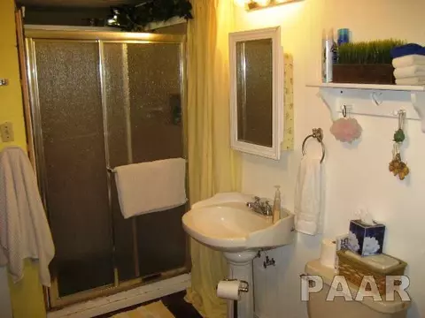 9703 W Guinivere Dr, Mapleton, IL 61547 photo 11