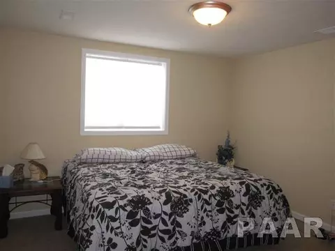 11613 N Dunmore Dr, Dunlap, IL 61525 photo 10