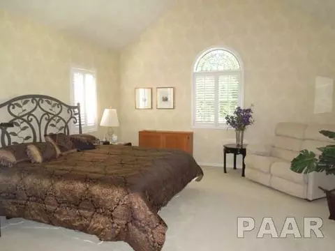 10920 N Pauli Rd, Dunlap, IL 61525 photo 9