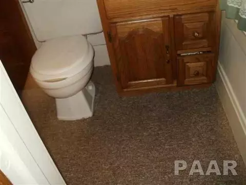 615 Carter, Fairview, IL 61432 photo 11
