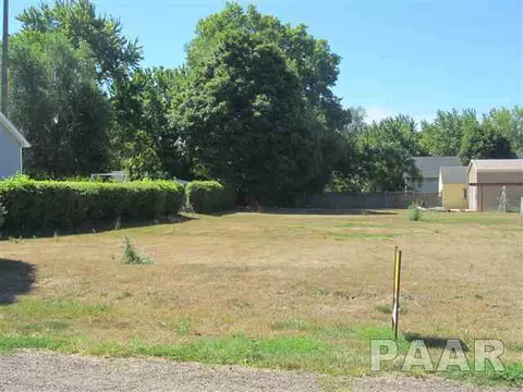 408 E 6th St, Delavan, IL 61734 photo 3