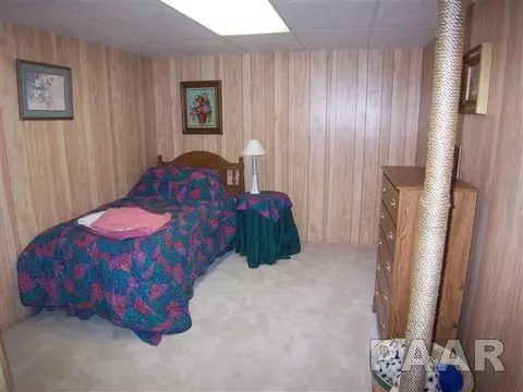 10519 W Sir Durham Ct, Mapleton, IL 61547 photo 12