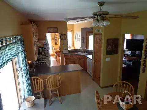1336 E Locust, Canton, IL 61520 photo 3