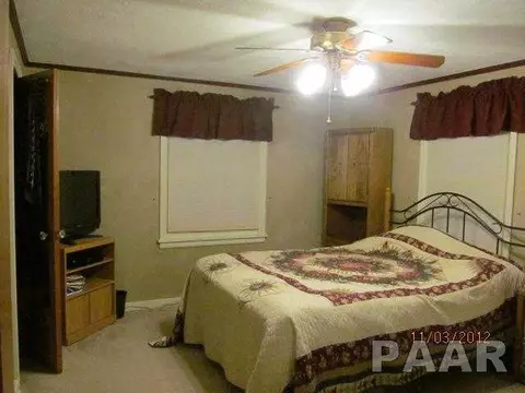 205 Jo Ave, Germantown Hills, IL 61548 photo 8