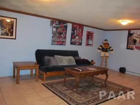 205 Jo Ave, Germantown Hills, IL 61548 photo 11