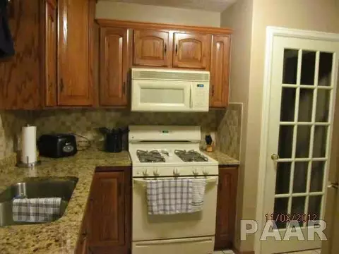 205 Jo Ave, Germantown Hills, IL 61548 photo 5