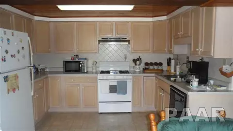 16530 Mohawk, Cuba, IL 61427 photo 20