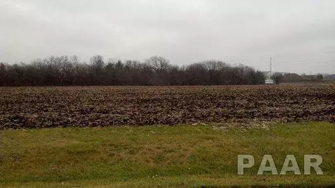 8000 N Blackbridge Rd, Edwards, IL 61528 photo 2