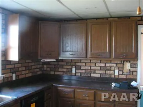 204 Pleasant St, Benson, IL 61516 photo 14