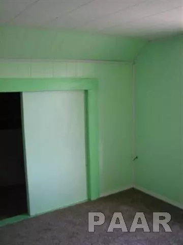 204 Pleasant St, Benson, IL 61516 photo 6