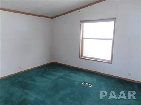 610 E 1st St, Delavan, IL 61734 photo 11