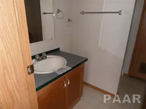 610 E 1st St, Delavan, IL 61734 photo 17