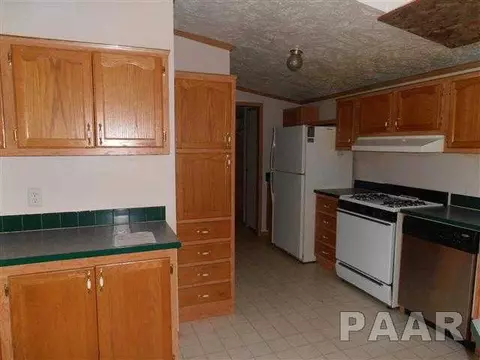 610 E 1st St, Delavan, IL 61734 photo 10