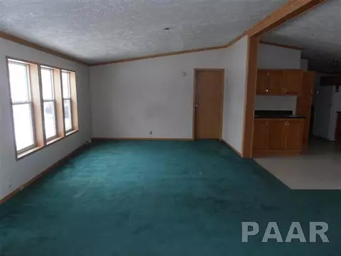 610 E 1st St, Delavan, IL 61734 photo 5