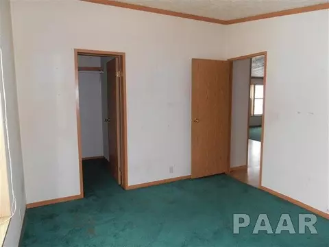 610 E 1st St, Delavan, IL 61734 photo 12