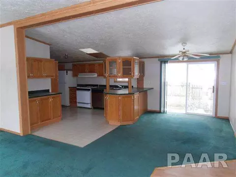 610 E 1st St, Delavan, IL 61734 photo 9