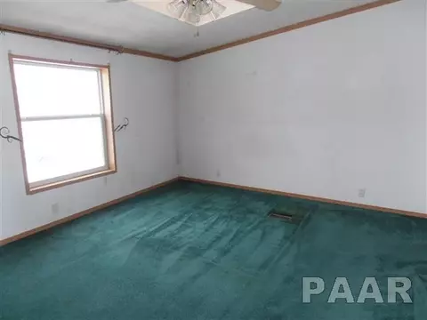 610 E 1st St, Delavan, IL 61734 photo 13