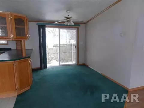 610 E 1st St, Delavan, IL 61734 photo 8