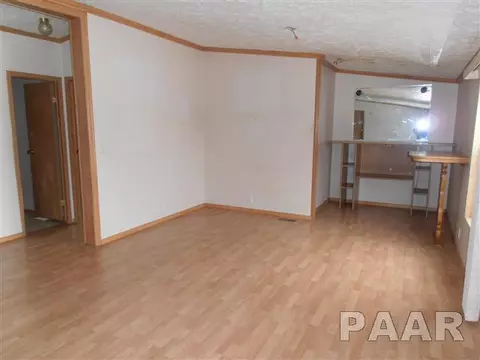 610 E 1st St, Delavan, IL 61734 photo 6
